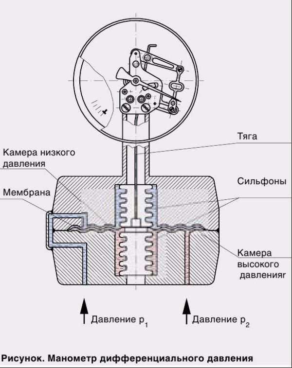 m_005.jpg